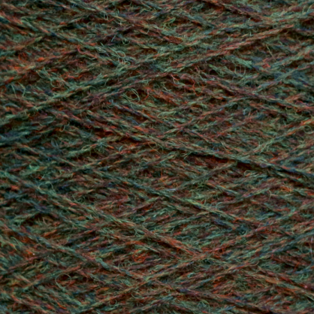 shetland_Broom_19005
