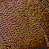 Linas 600_891
